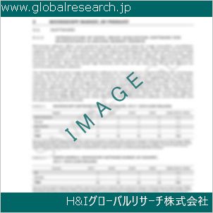 グローバルリサーチ調査資料のイメージ